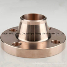 Pipe Fittings Copper Weld Neck Flange